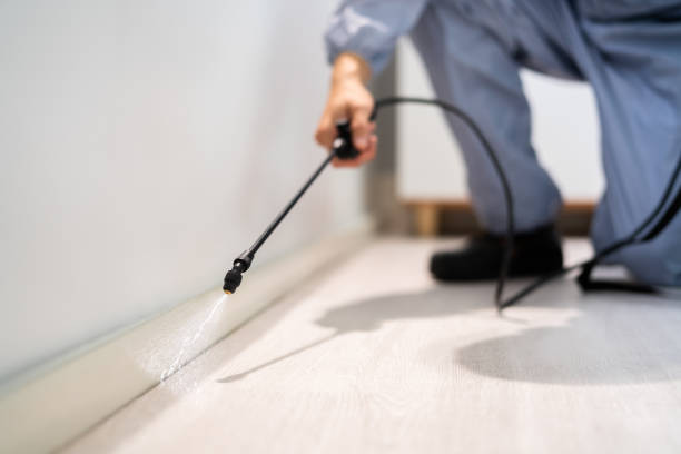 Licensed Termite Control service in Jacksonville, AL - Nex Pest Control