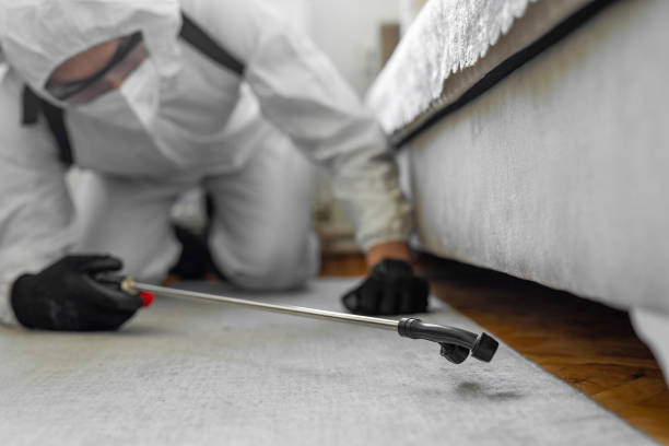 Professional Termite Control technician working in Jacksonville, AL
