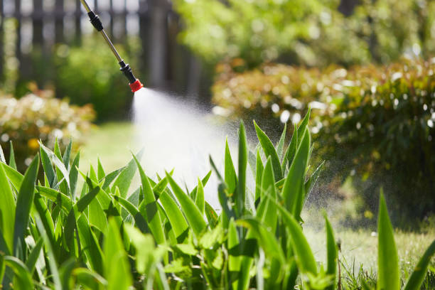 24/7 Emergency Termite Control experts in Jacksonville, AL