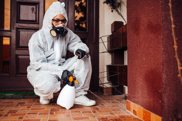 Reliable Termite Control contractor in Jacksonville, AL by Nex Pest Control