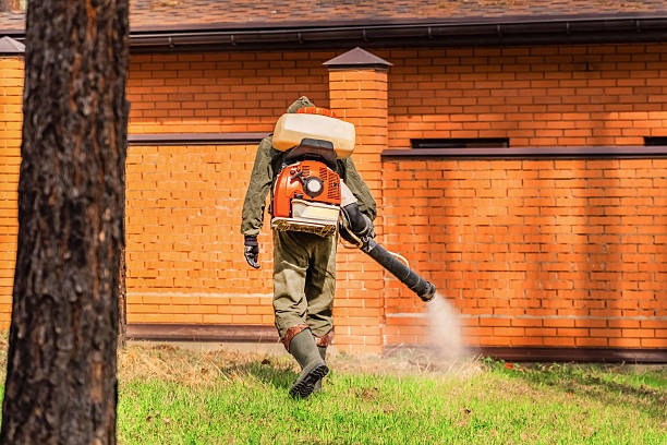 Top rated local Termite Control specialists in Jacksonville, AL